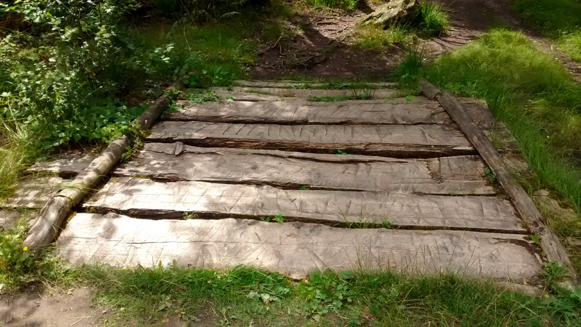 Holzweg - Allergiker vom Mittagessen ausgegrenzt